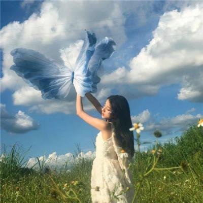 伙头智多星国语